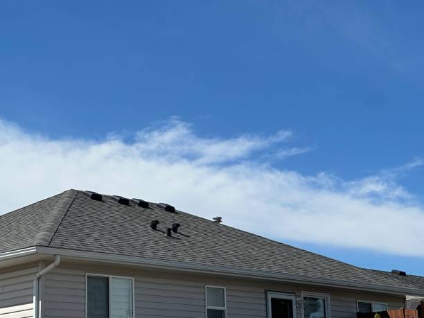 Best Wood Shake Roofing  in Danville, IN
